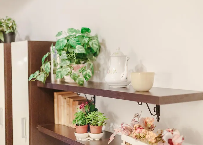 La Corte * Vicopisano